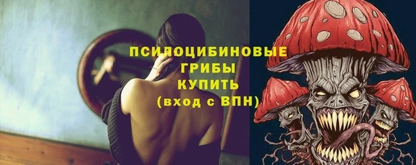ПСИЛОЦИБИНОВЫЕ ГРИБЫ Зерноград