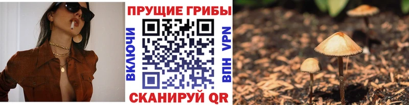 Псилоцибиновые грибы мицелий Купить где Мосальск